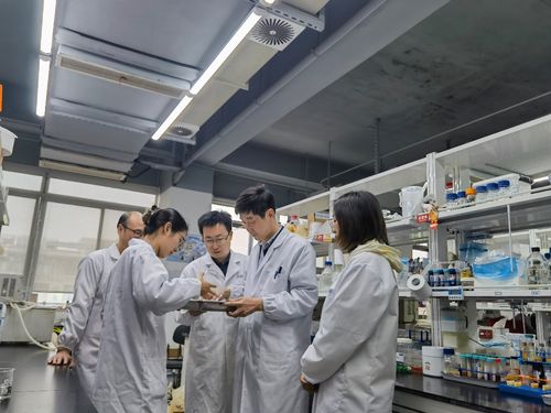 江南大學食品學院深化援疆合作，助力新疆食品科技產業升級